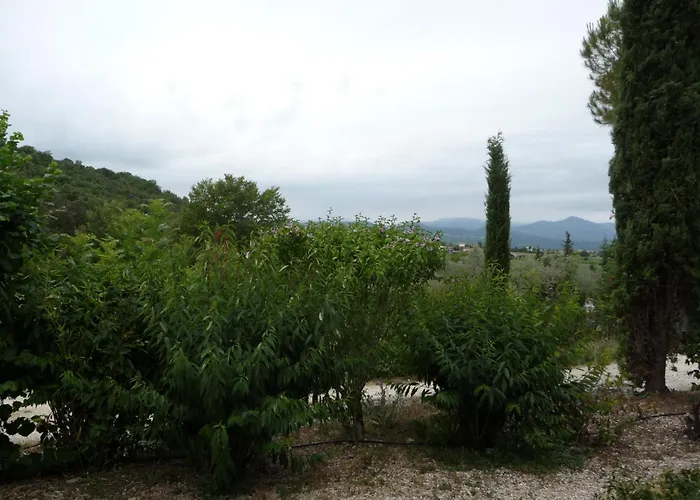 La Santoline